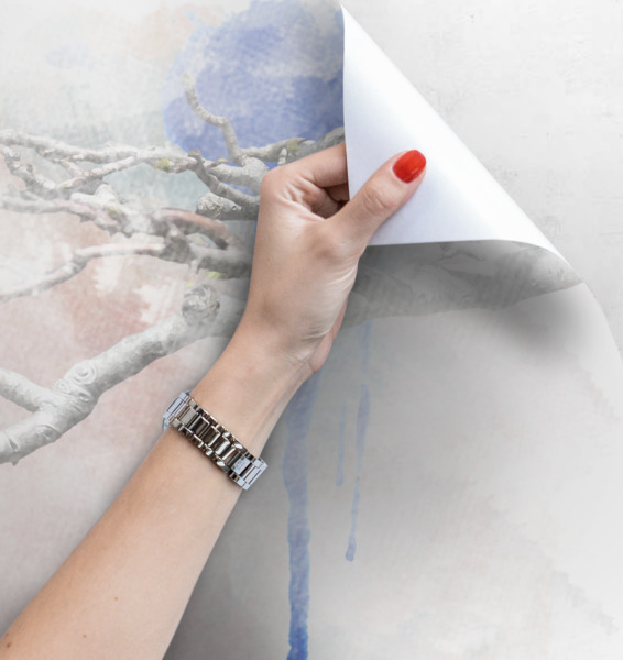 Papier peint adhésif Discussions sur les oiseaux