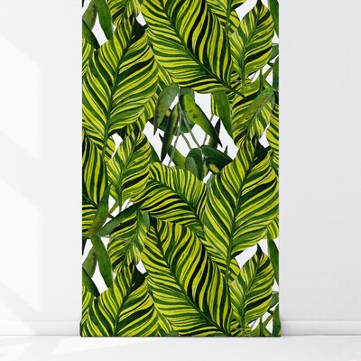 Tapisserie panoramique Grandes feuilles des tropiques chauds
