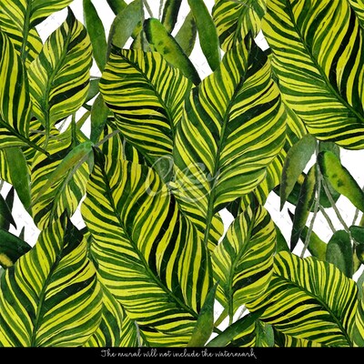 Tapisserie panoramique Grandes feuilles des tropiques chauds