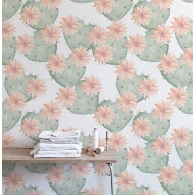 Papier peint Cactus à fleurs mexicains