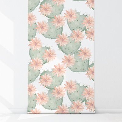 Papier peint Cactus à fleurs mexicains