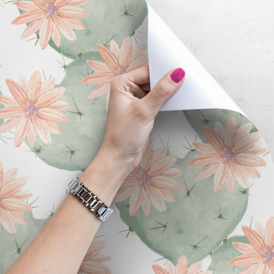 Papier peint Cactus à fleurs mexicains