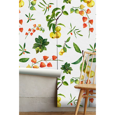 Tapisserie panoramique La beauté naturelle du Physalis