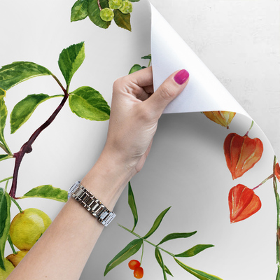 Tapisserie panoramique La beauté naturelle du Physalis