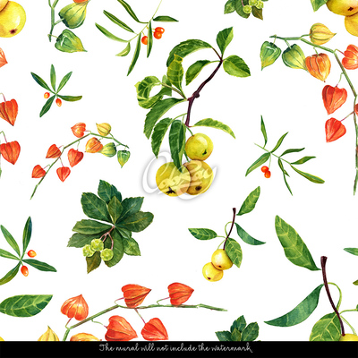 Tapisserie panoramique La beauté naturelle du Physalis