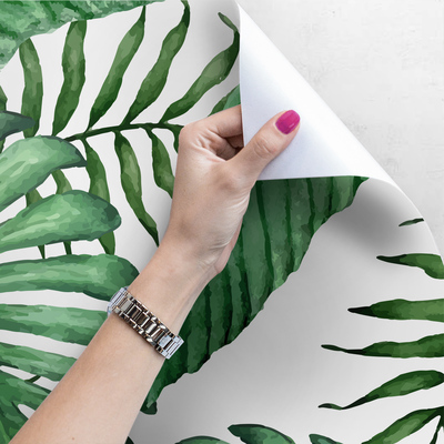 Papier peint adhésif Reposez-vous à l'ombre des feuilles de palmier