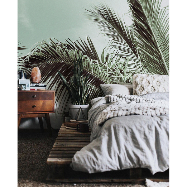 Papier peint adhésif Un palmier a poussé ici