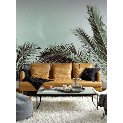 Papier peint adhésif Un palmier a poussé ici