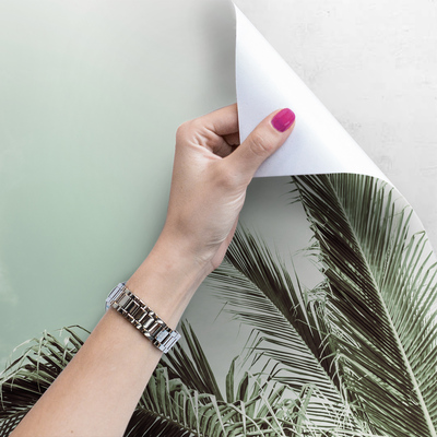 Papier peint adhésif Un palmier a poussé ici