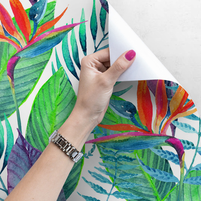 Papier peint Oasis arc-en-ciel paradisiaque