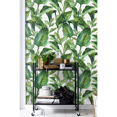 Papier peint Dans le fourré de feuilles tropicales