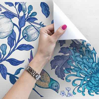 Papier peint adhésif Chant printanier des oiseaux colorés