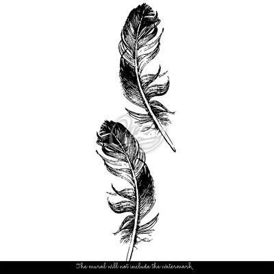 Papier peint panoramique Plume d'oiseau