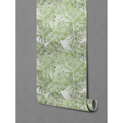 Papier peint Dans la palmeraie sauvage