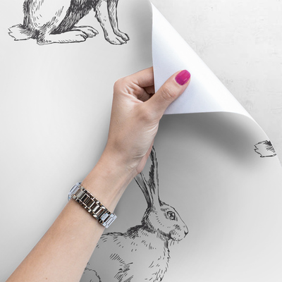 Papier peint Kick, Kick, Kick les lièvres se recommandent au mur