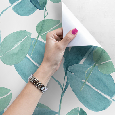 Papier peint adhésif Feuilles d'eucalyptus à l'aquarelle