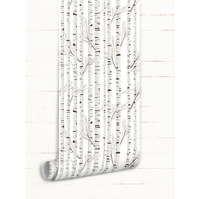 Papier peint adhésif bouleau blanc