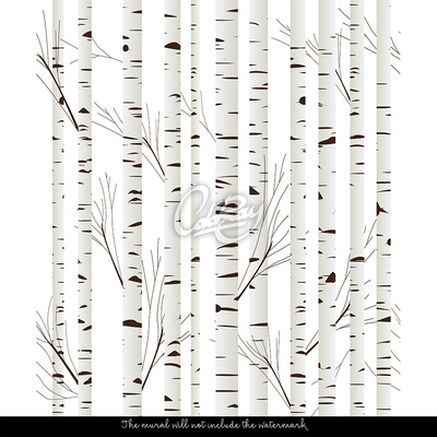 Papier peint adhésif bouleau blanc