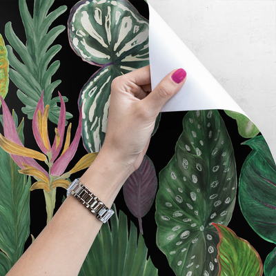 Papier peint adhésif Jungle tropicale la nuit