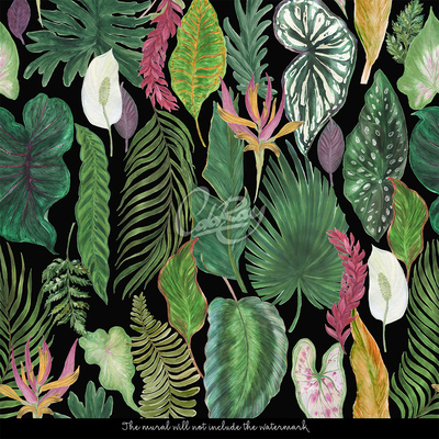 Papier peint adhésif Jungle tropicale la nuit