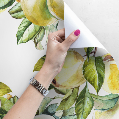 Papier peint adhésif Pommes mignonnes