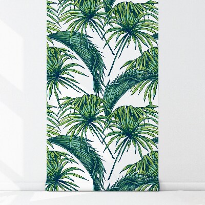 Papier peint adhésif Le palmier gracieux