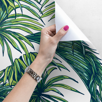 Papier peint adhésif Le palmier gracieux