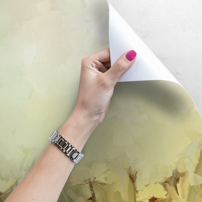 Papier peint Matin brumeux dans la prairie