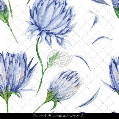 Papier peint adhésif Une prairie pleine d'Habras