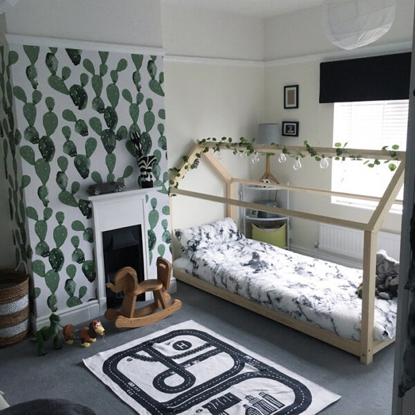 Papier peint panoramique Photo de cactus