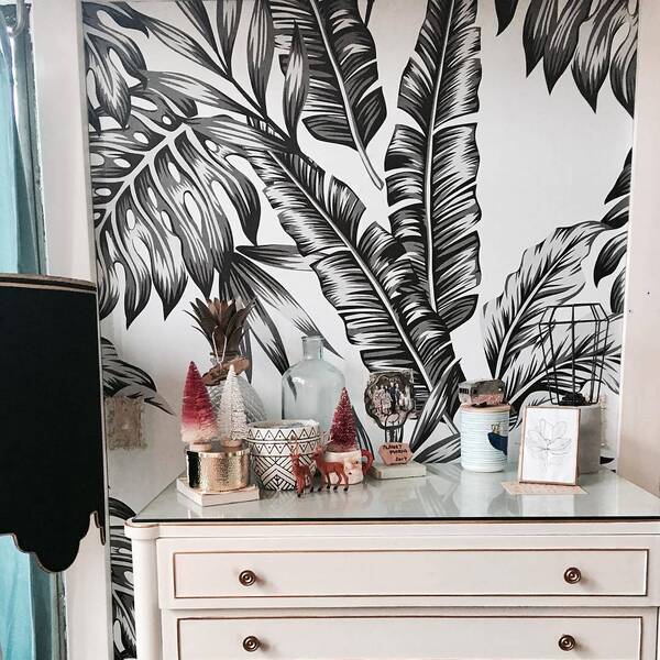 Papier peint Plumes de choucas