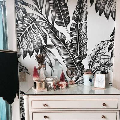 Papier peint Plumes de choucas