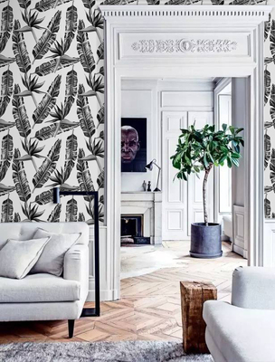 Papier peint Plumes de choucas