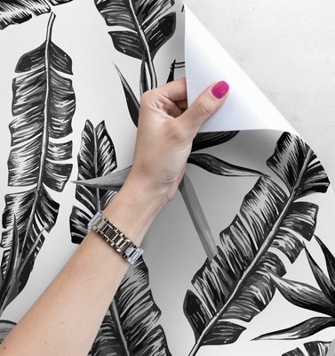 Papier peint Plumes de choucas