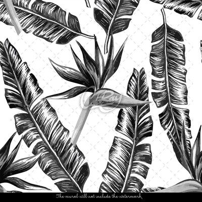 Papier peint Plumes de choucas