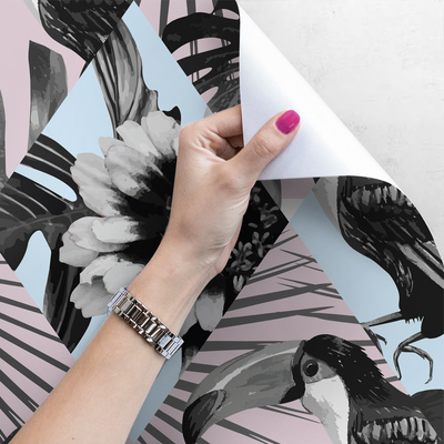 Papier peint Toucan ici, Toucan là