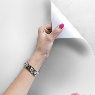 Papier peint Fleur de magnolia rose