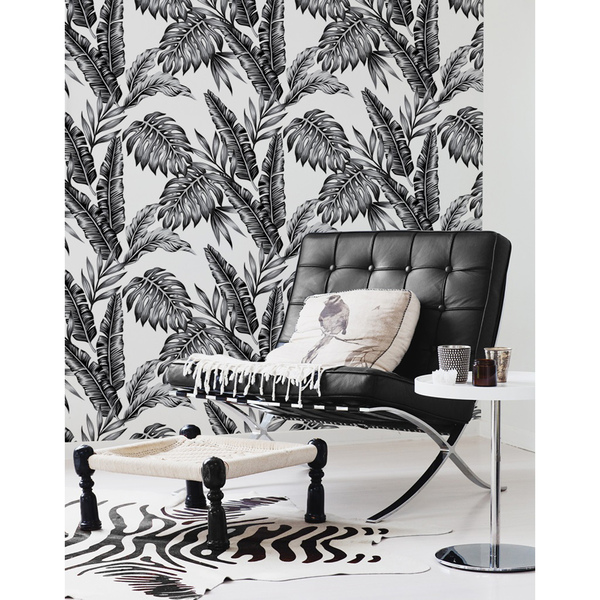 Papier peint La beauté des plantes tropicales