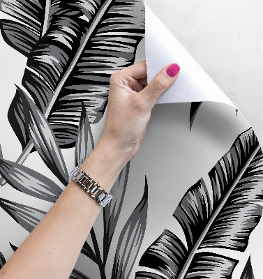 Papier peint La beauté des plantes tropicales