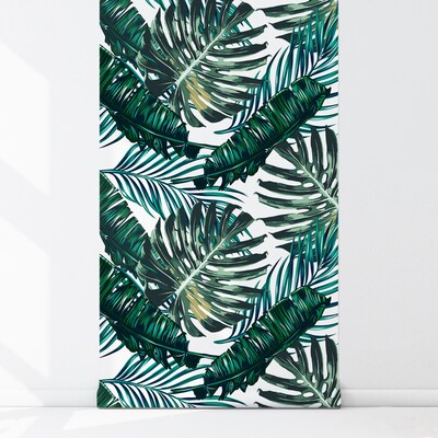 Papier peint À l'ombre du majestueux Monstera