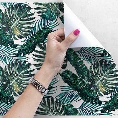 Papier peint À l'ombre du majestueux Monstera