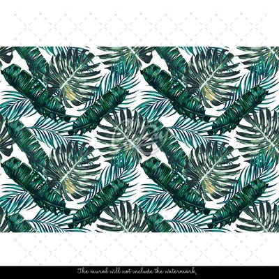 Papier peint À l'ombre du majestueux Monstera