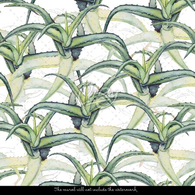 Tapisserie murale Plantation d'agaves