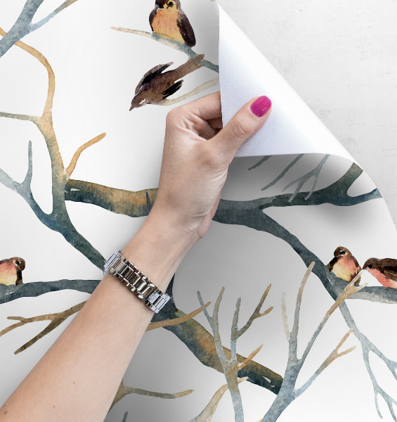 Papier peint panoramique Moineaux sur les branches