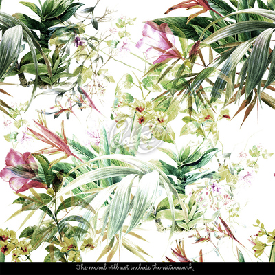 Papier peint adhésif La beauté subtile des tropiques