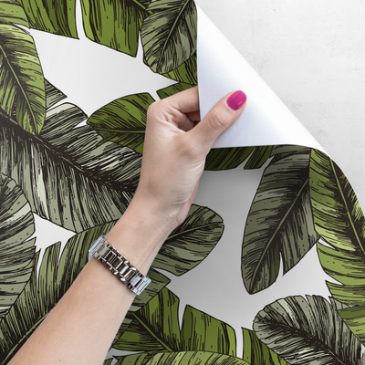 Tapisserie murale La fraîcheur agréable du palmier paradisiaque