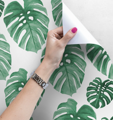 Papier peint Monstera vert