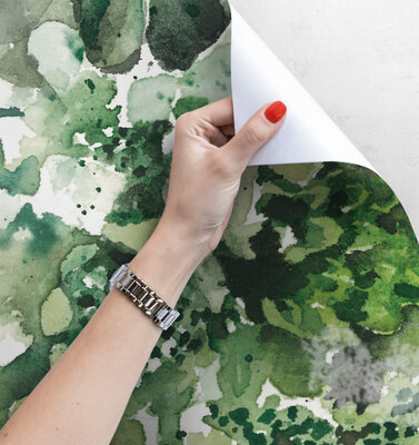 Papier peint Verdure luxuriante