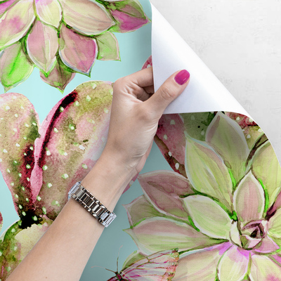 Papier peint S'amuser avec un cactus