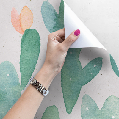 Tapisserie murale Y a-t-il un cactus qui pousse sur le mur ?